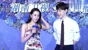 大琪琪爆料娱乐圈小说,娱乐圈背后的秘密风云录